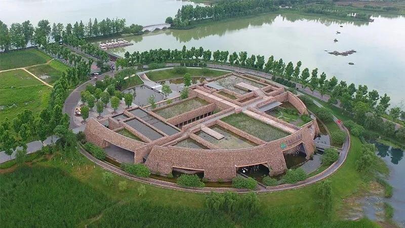 长沙洋湖读哪个学校,长沙洋湖学武术