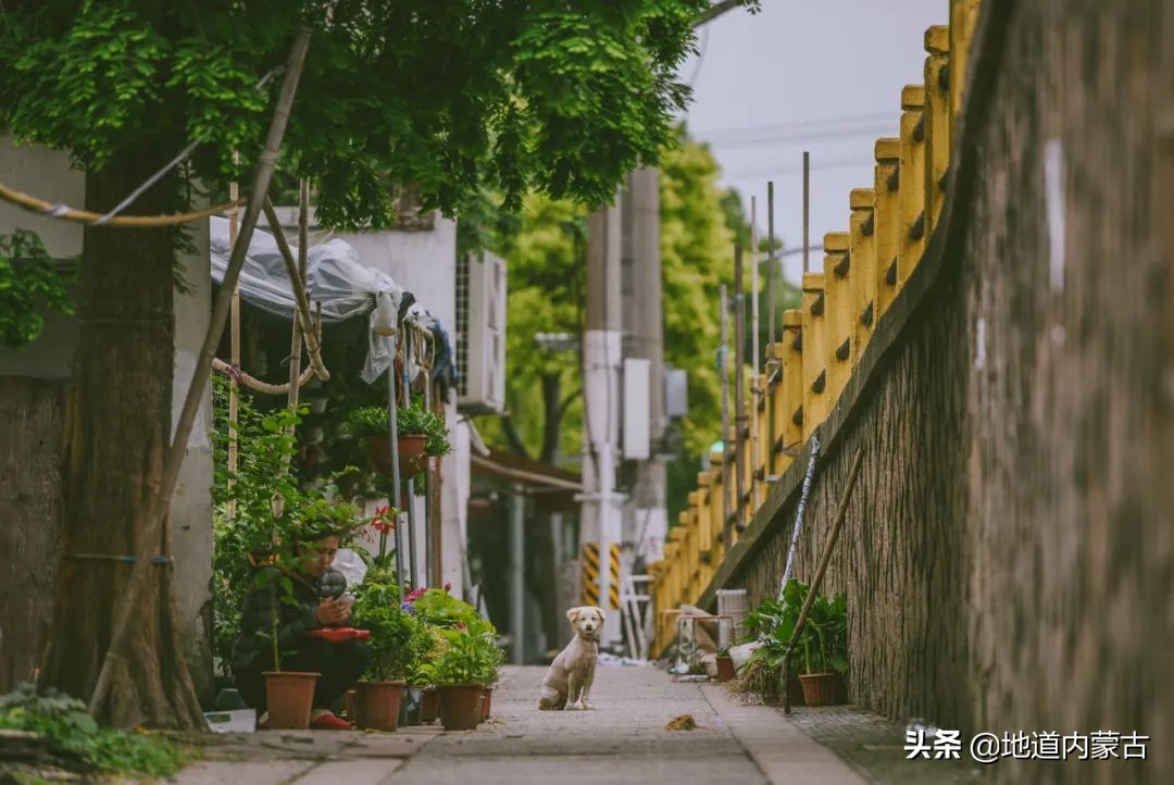 60岁之前要去的十大地方,一生中必去的中国50个最美的地方