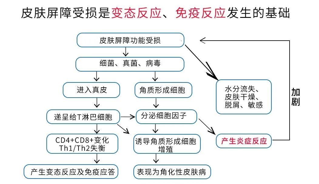 sis活性胶原蛋白,sis活性胶原对敏感肌肤有用吗