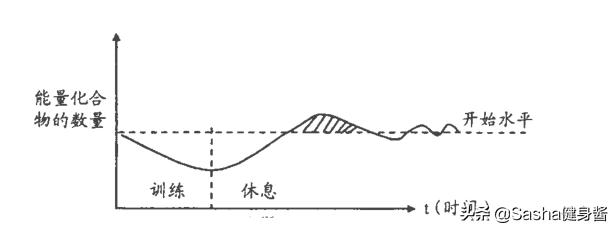 超量恢复怎么练,练肌肉后肌肉的超量恢复期是多久