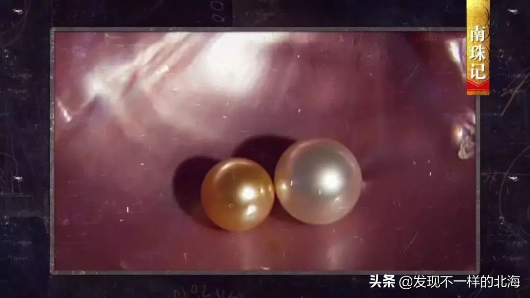 广西合浦是怎么样的?央视是这样全方位介绍这美丽的珠乡的