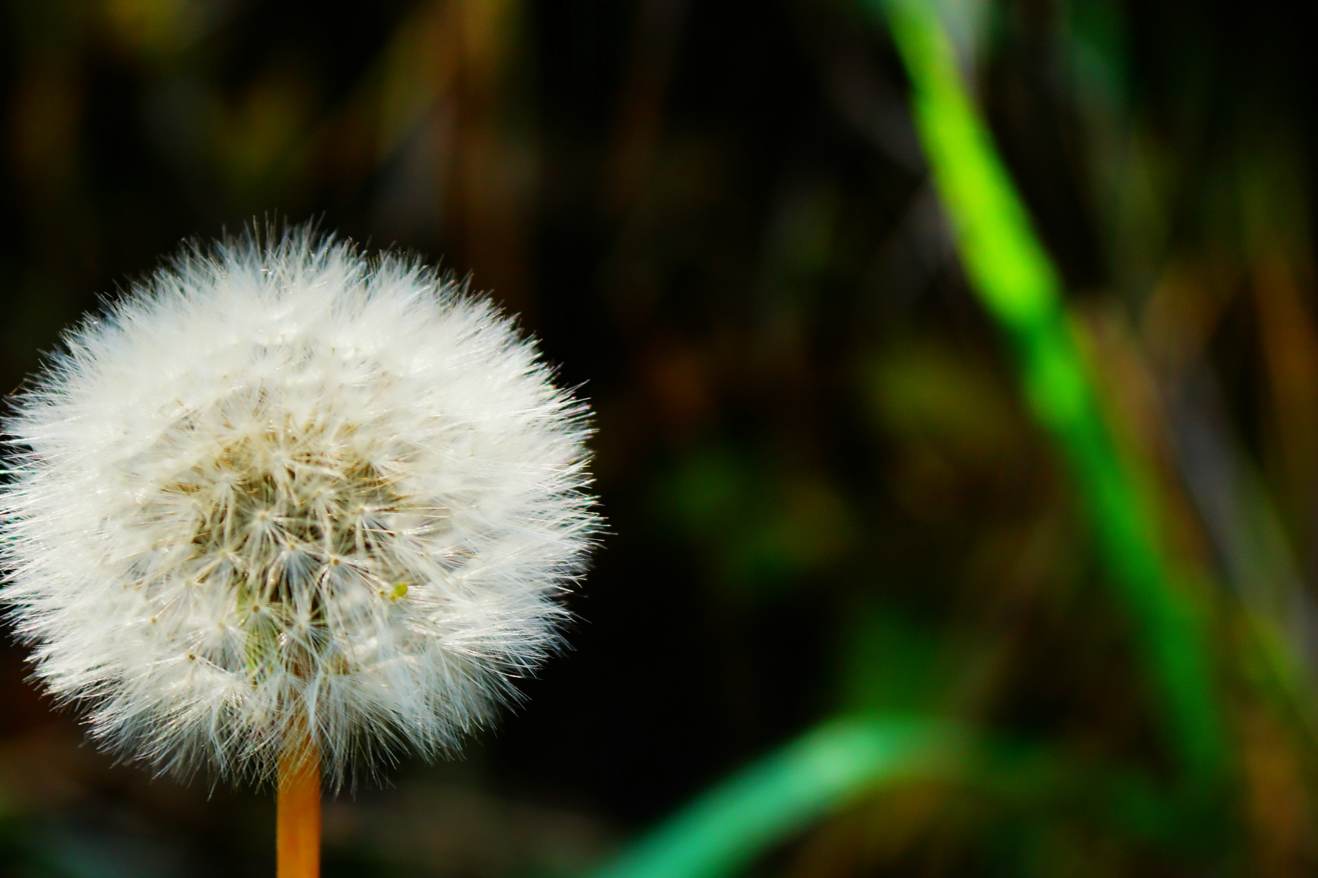 京北第一天路千松坝国家森林公园,千松坝森林公园和京北第一天路