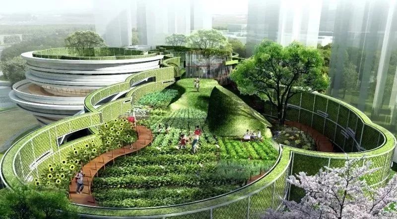 上海的十所顶级国际幼儿园,上海十大最美公办幼儿园