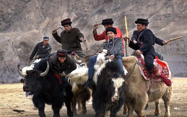 中国境内唯一纯正白种人,中国唯一的白种人在哪里