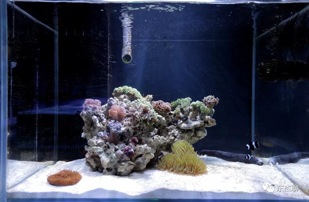 光说不练假把式图片,光说不练假把式怎么回复