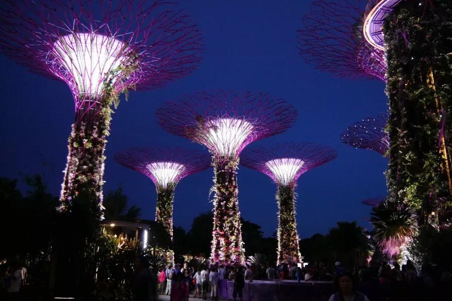 新加坡滨海湾金沙酒店全攻略图片,滨海湾金沙酒店房价