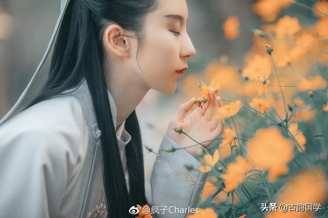 写诗常用平仄词,写诗平仄常用的一些字