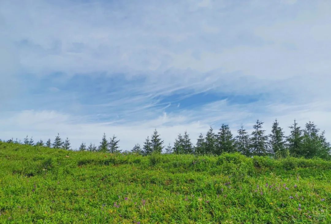 徒步穿越北驼梁完整版,穿越花海古道游记