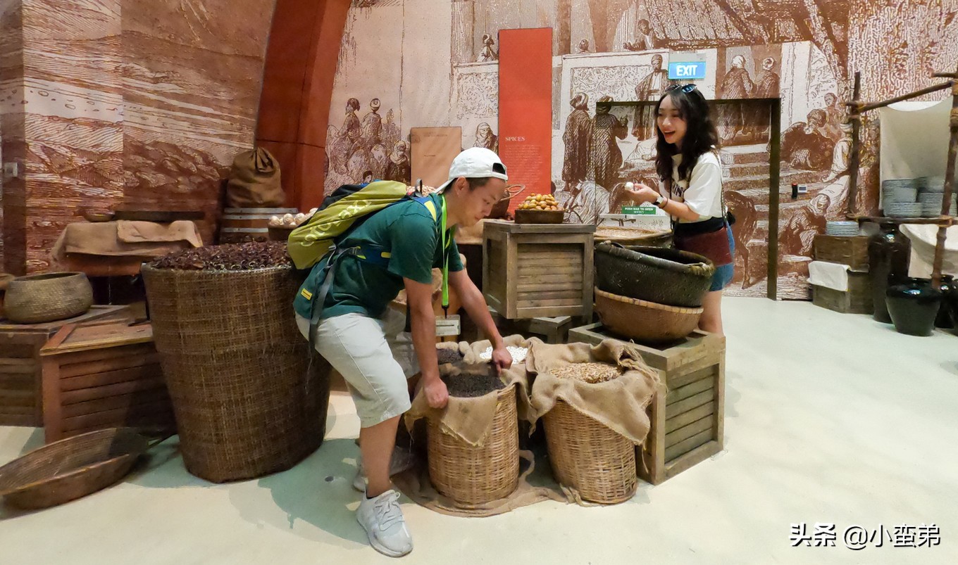 5年之许,小白逆袭重返新加坡