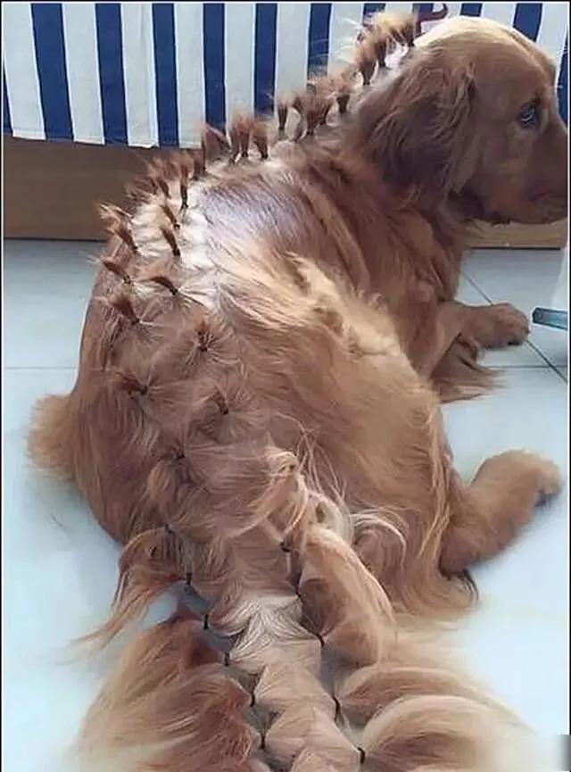 泰国cosplay小哥在泰国出名吗,泰国小哥新cosplay