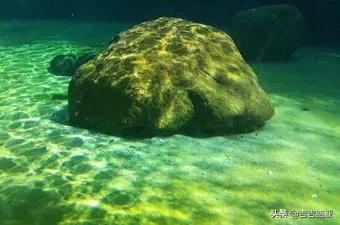 硬饵竿与软饵竿的区别,硬竿跟软竿的感度区别