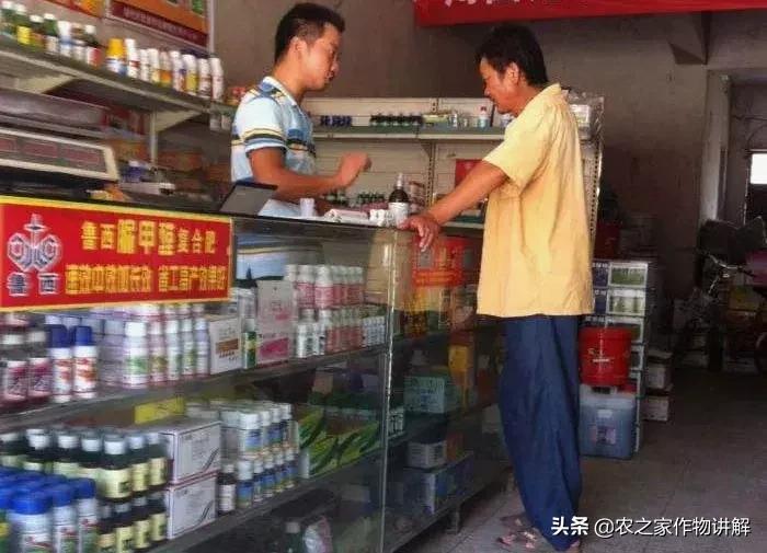 拍脑袋做决定顺口溜,拍脑袋做事啥意思