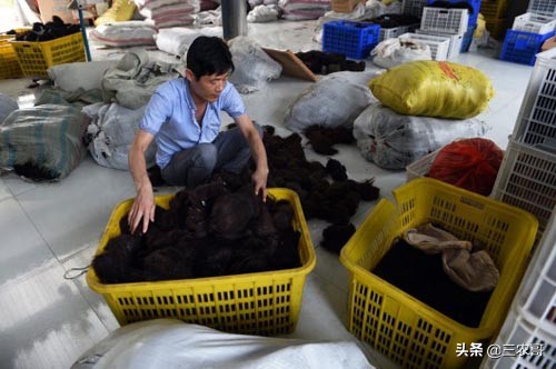 农村现在挣钱的门路有哪些,农村不起眼的挣钱门路有什么