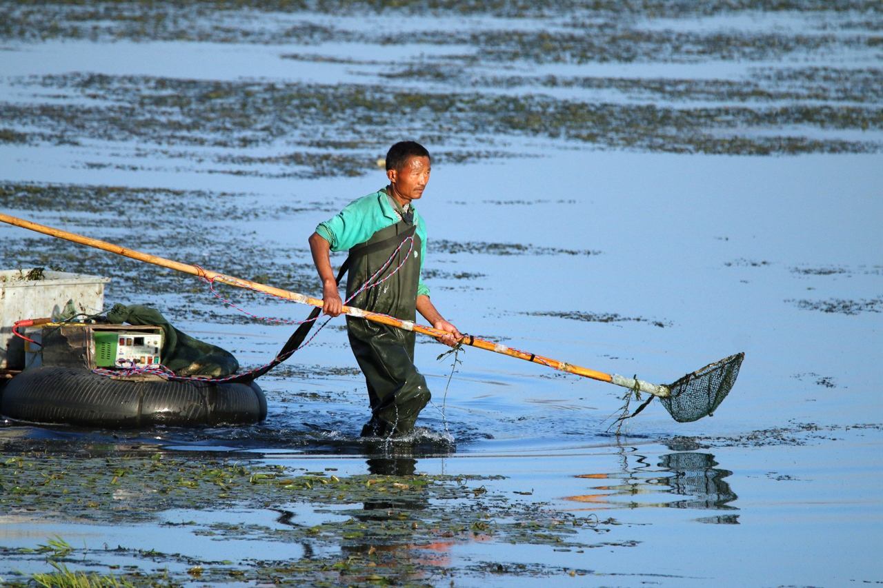 钓鱼电鱼怎么举报,钓鱼遇到电鱼报警怎么处理