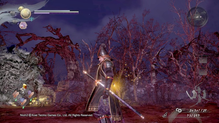 仁王大太刀武功,仁王太刀图片大全