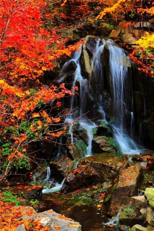 济南旅游景点推荐带孩子玩,济南旅游景点推荐适合带孩子