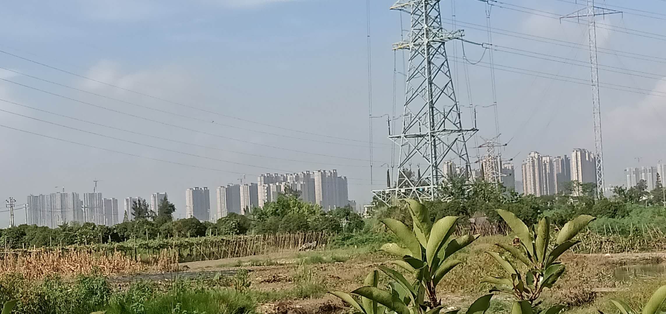 温州七都江风景,温州七都岛风景
