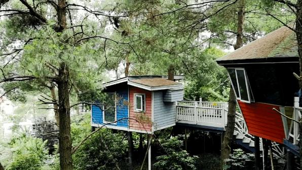 贵阳最快到达的“树屋王国”，一个童话照进现实的地方