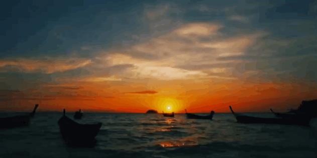 恋恋丽贝岛,人狗情未了|KohLipe