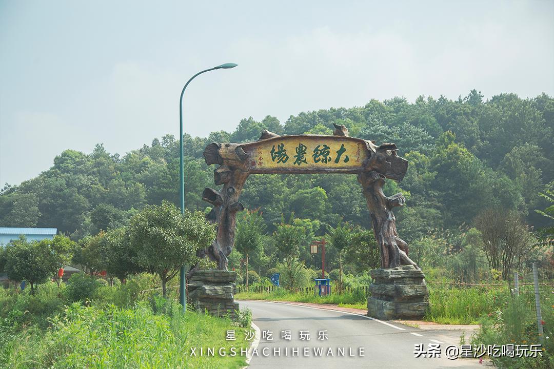 长沙小水果之乡,湖南长沙宝藏打卡地