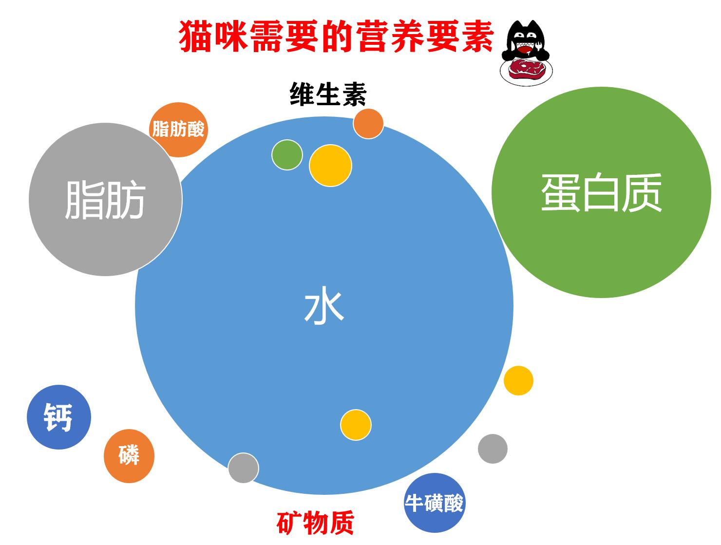 猫咪营养膏有蛋白质吗,猫咪营养膏功效