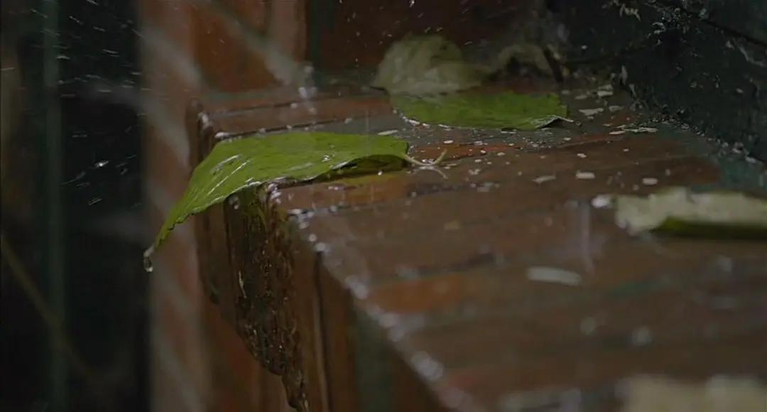 它拍出了盲人难以启齿的“性”,获奖无数,却连本钱都没有收回来