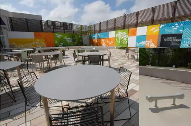 为什么日本电商输给中国实体店,为什么日本电商赢不了实体店