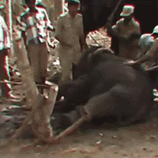 15岁怀孕，她被骗吃下*药炸**，一尸两命：有些人，这辈子不配为人