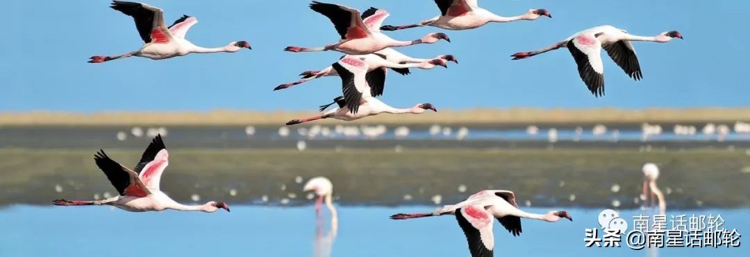 海上最大的豪华套房,海景度假超豪华房子
