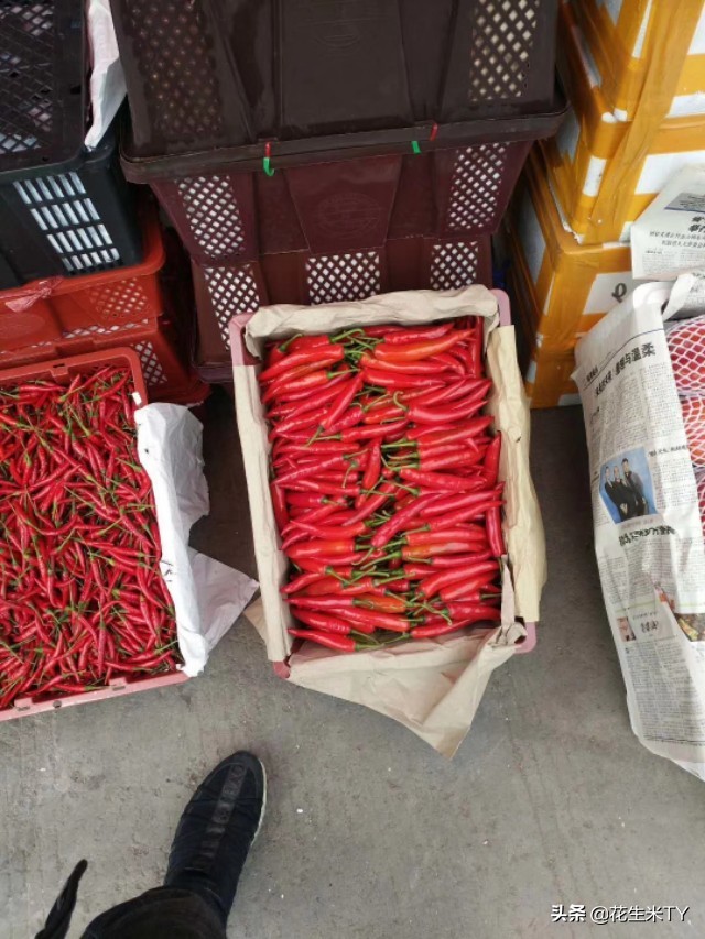 郑州万邦蔬菜水果批发市场价格表,郑州万邦1月8号蔬菜批发市场价格