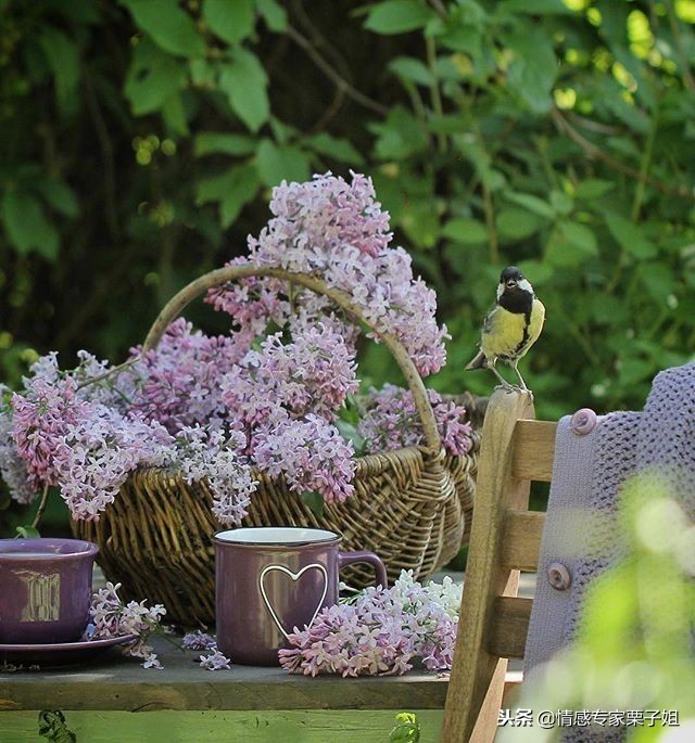 情感咨询｜栗子姐每日情感问答（1118）