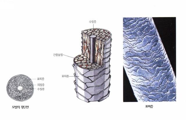 头发稀疏细软扁塌适合什么洗发水,头发稀疏的补救方法洗发水