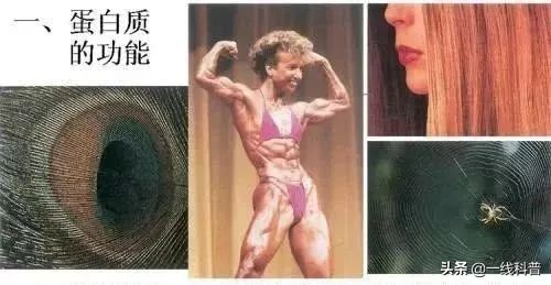 研究发现吃东西让人愉悦,研究发现美食使人快乐