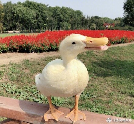 1分钟花光一百万淘宝,一分钟花光一百万淘宝