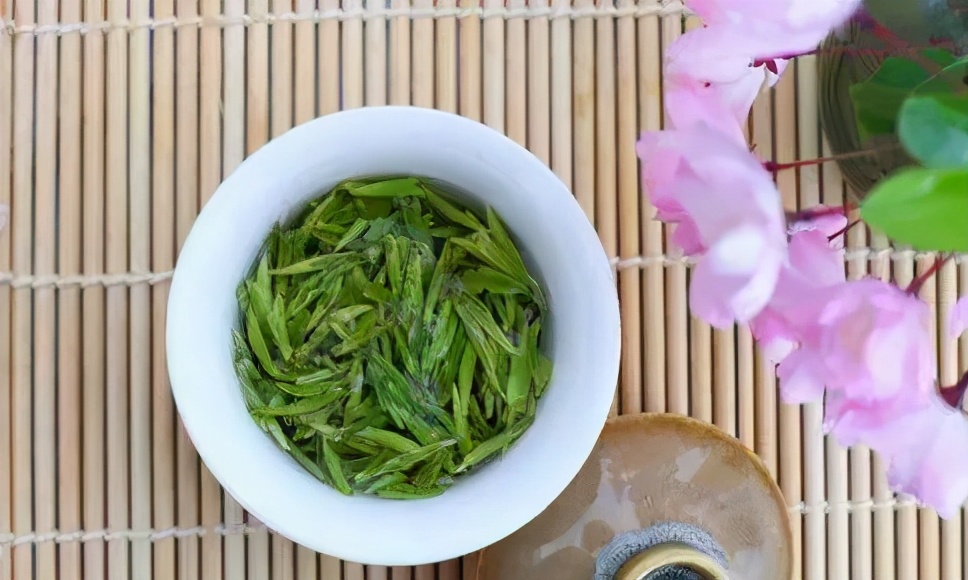 浙东茗茶,浙江宁波四明山白茶怎么样