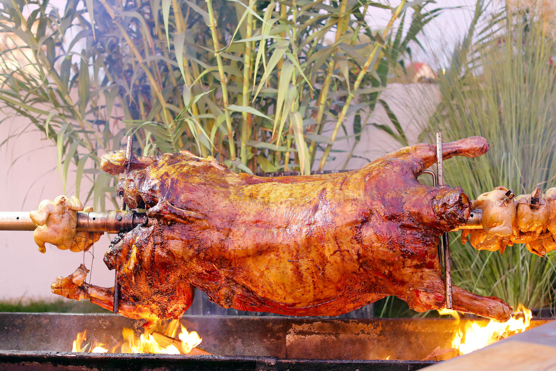 烧烤系列｜电烤架、烤箱、蒸烤箱哪个更实用，谁才是厨房最佳选择