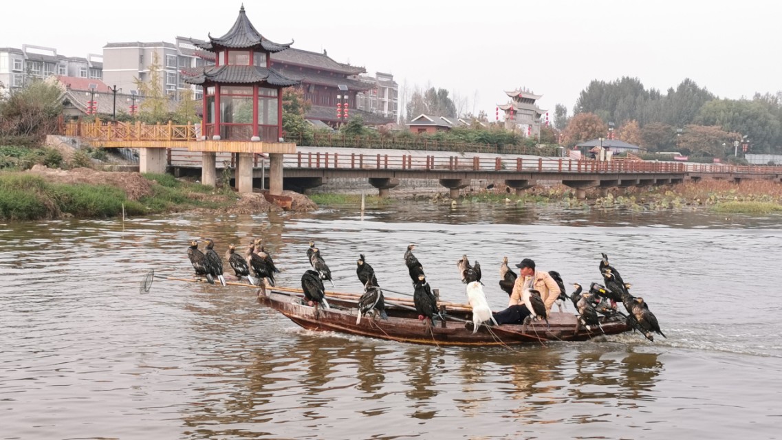 感受南阳古镇的灵动之美,南阳古镇古韵