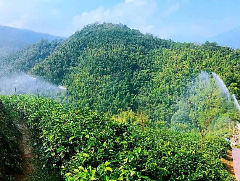 买它就买它直播带货,买它就买它直播带货去哪里了