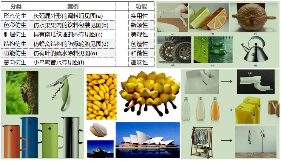 蕉岭县三圳镇九岭村景点介绍,梅州蕉岭三圳九岭村抖音