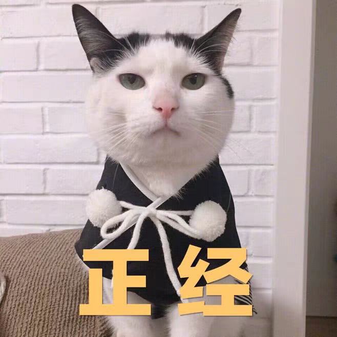 拼多多帮忙开10个店铺矩阵玩法,拼多多开店铺兼职套路