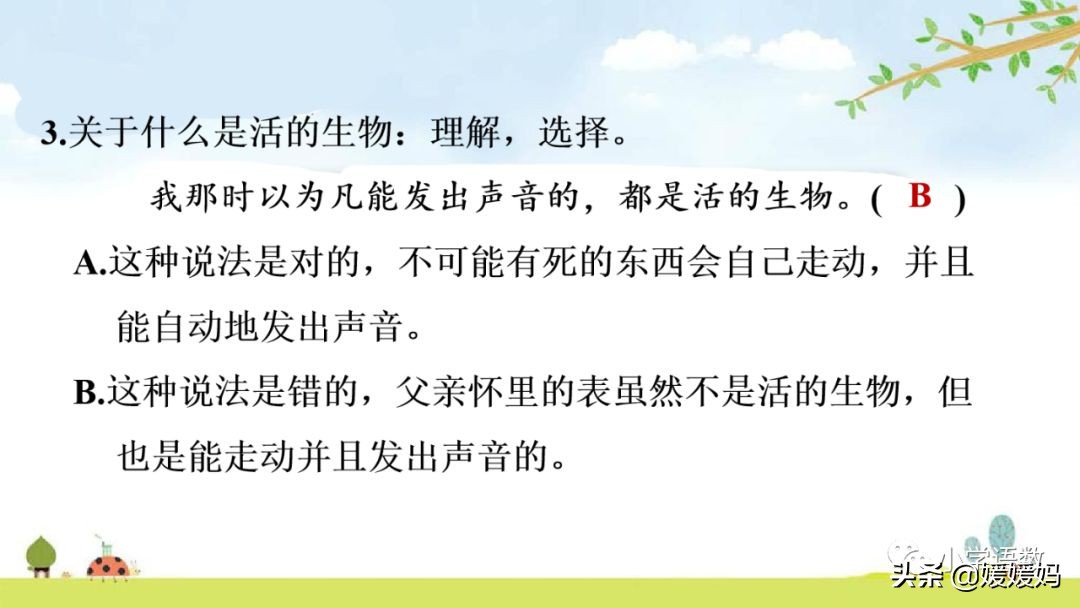 六年级下册语文表里的生物朗诵,六年级下册表里的生物小练笔400字