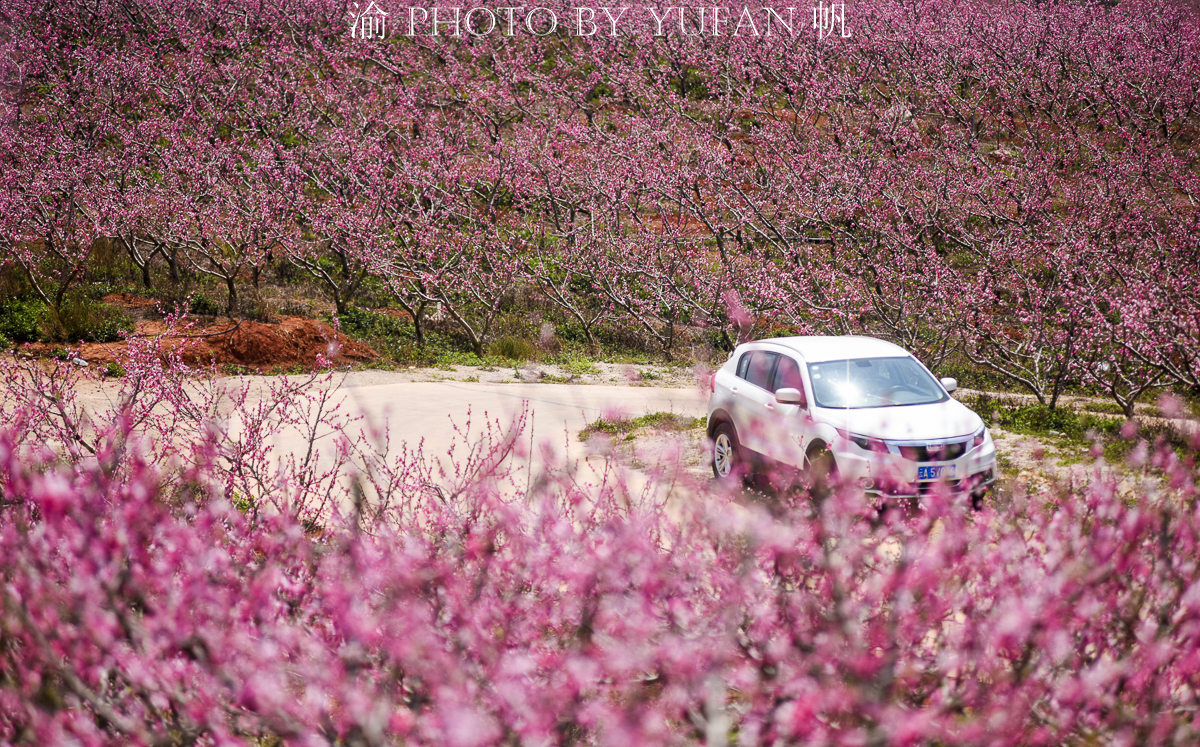 七彩云南旅游真实感受,什么是七彩云南