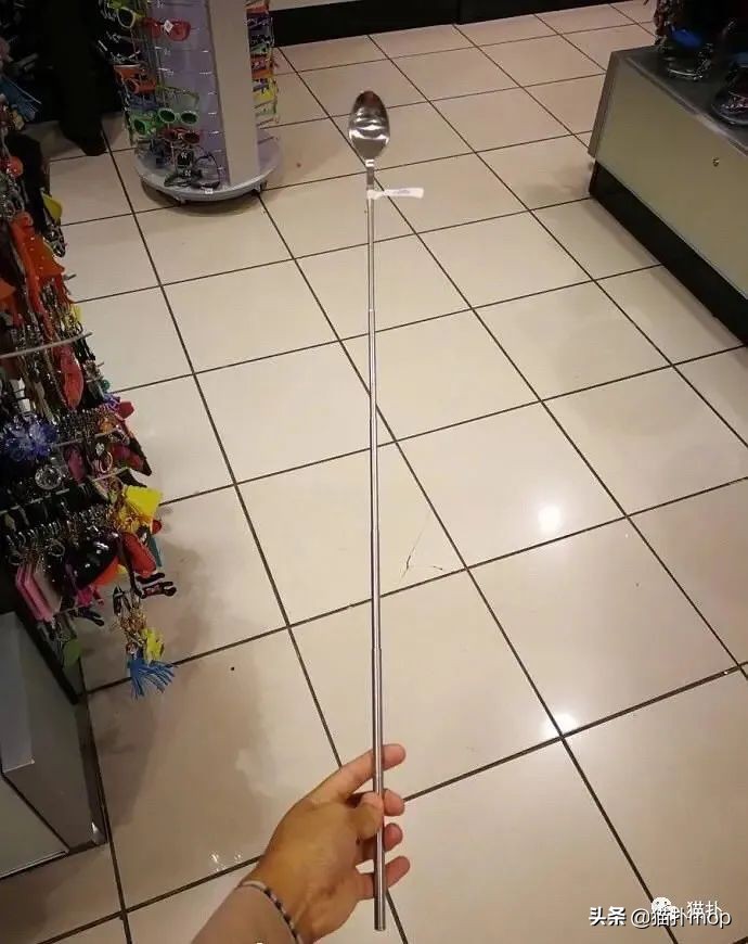 沙雕图|闺蜜是网恋终结者吧？