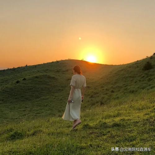 往年高考掉档是什么原因,高考掉档对下一批有什么影响