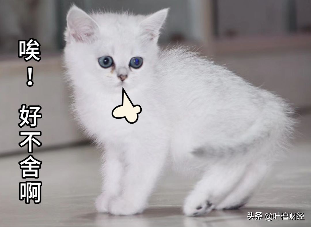 这类产品就是一个大忽悠!买了就坐等爆雷