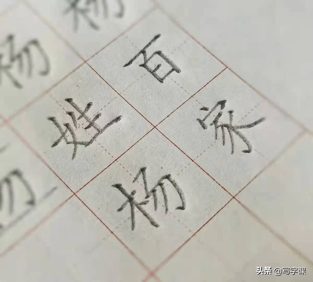 每日练字杨字写法,杨的笔画顺序正确写法