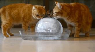 所有人几乎都吃过！用5毛唤起你的童年回忆