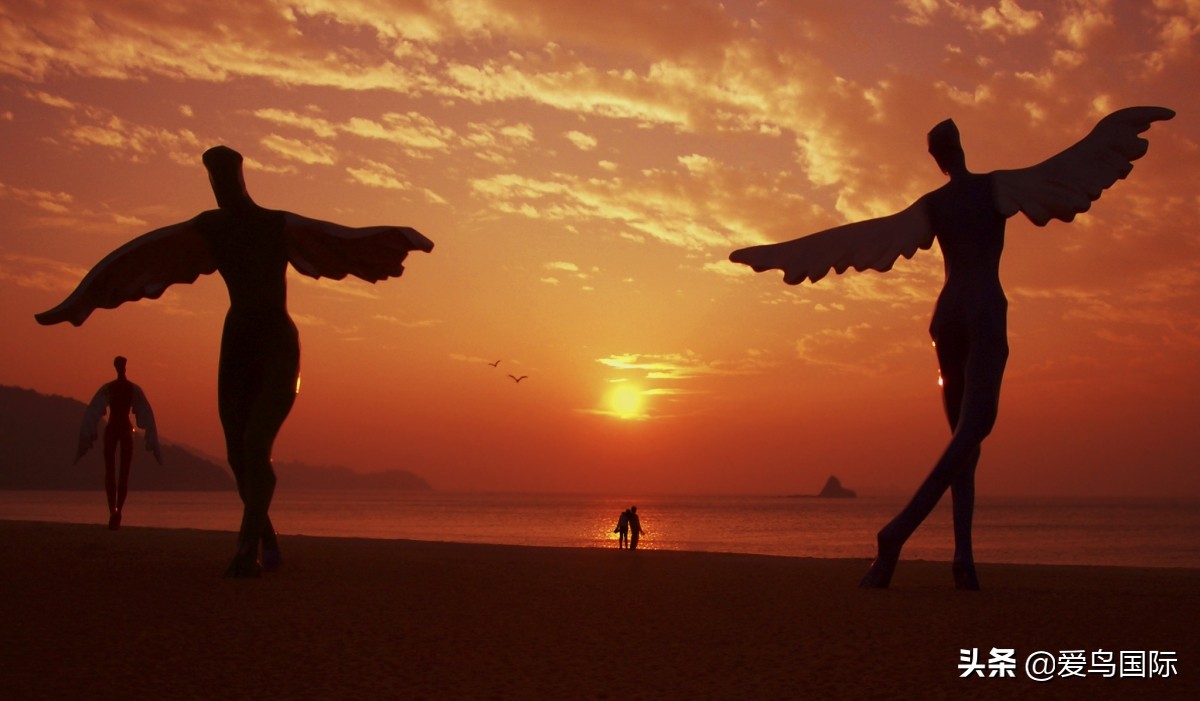 观鸟大年,观鸟作品100幅