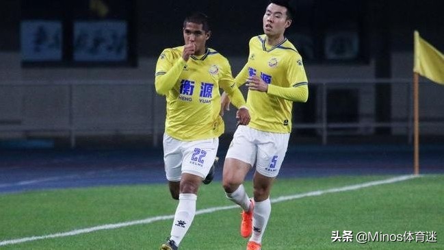 归化球员与国内球员的区别,归化非华裔血统球员