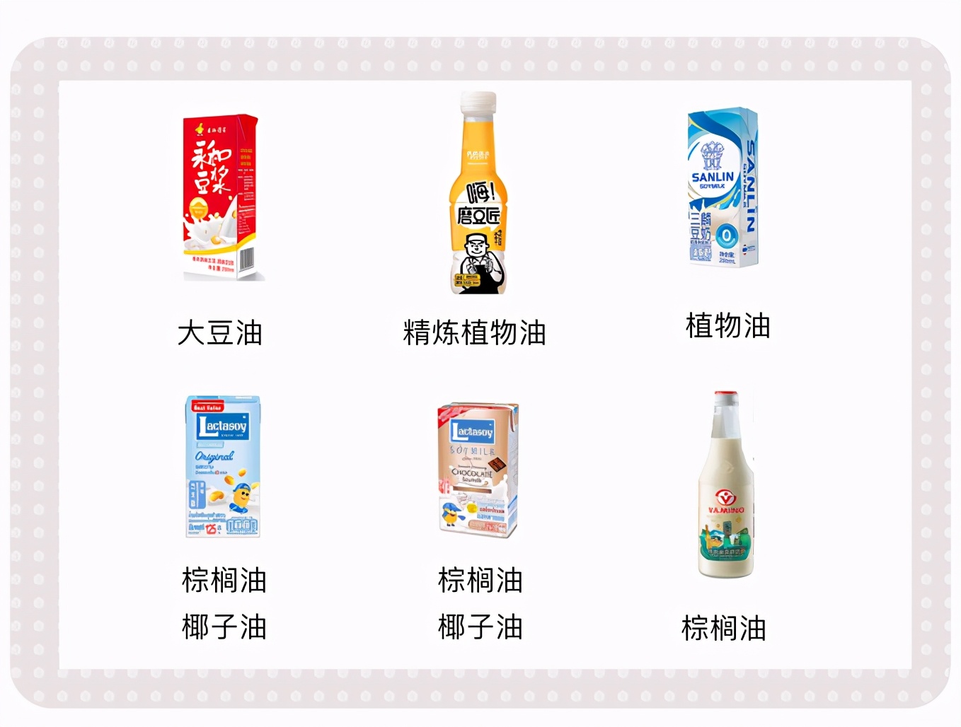 精选10款特色风味豆奶推荐,豆本豆豆奶和植选豆奶对比